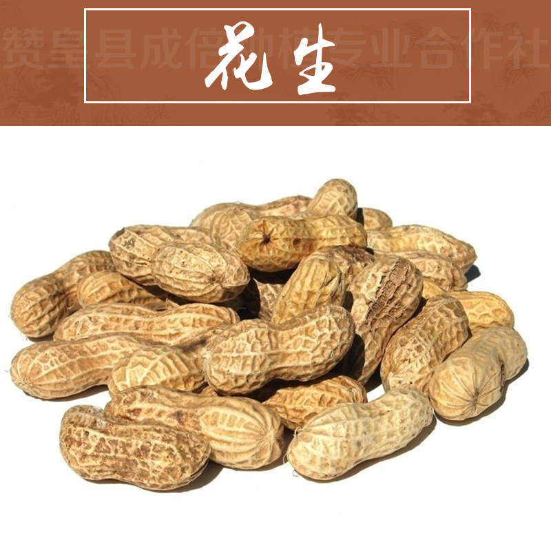 花生銷(xiāo)售