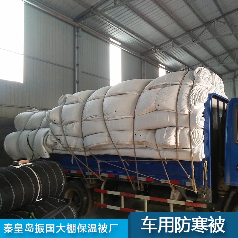 汽車防寒被圖片/汽車防寒被樣板圖 (2)