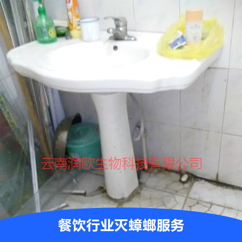 滅蟑螂服務(wù)圖片/滅蟑螂服務(wù)樣板圖 (2)