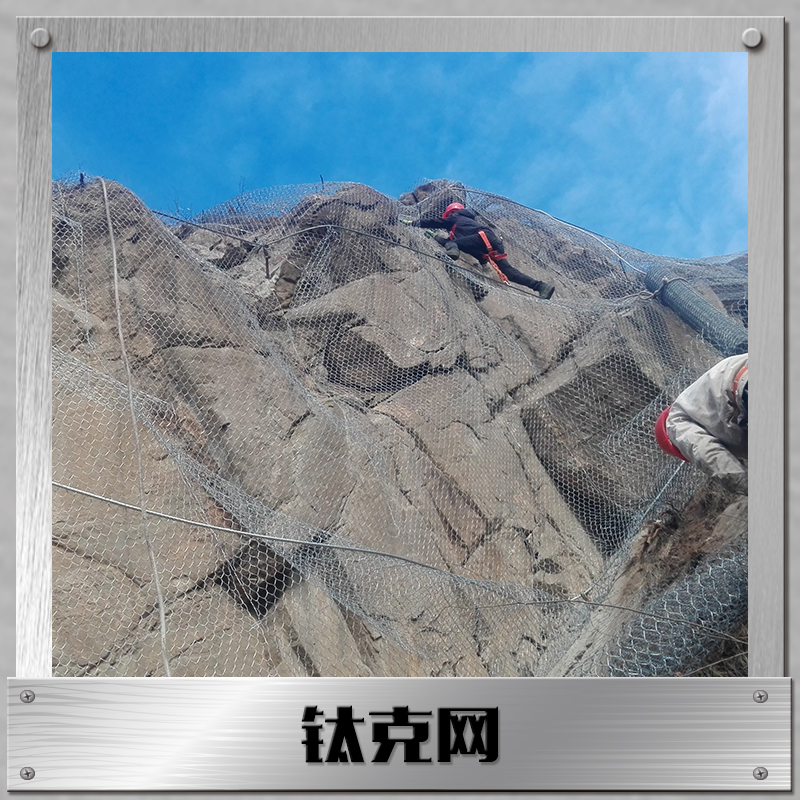 鈦克網(wǎng)圖片/鈦克網(wǎng)樣板圖 (4)