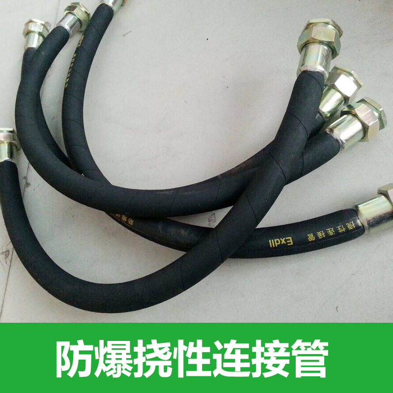 上海渝榮防爆撓性連接管圖片/上海渝榮防爆撓性連接管樣板圖 (3)