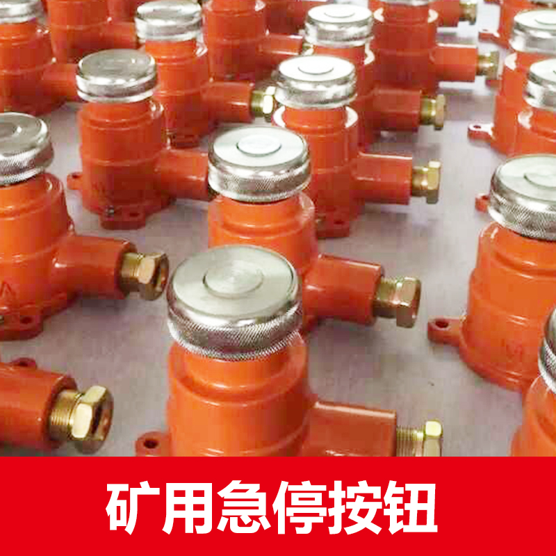 供應(yīng)礦用急停按鈕 礦用隔爆型急停按鈕 上海急停按鈕廠家直銷