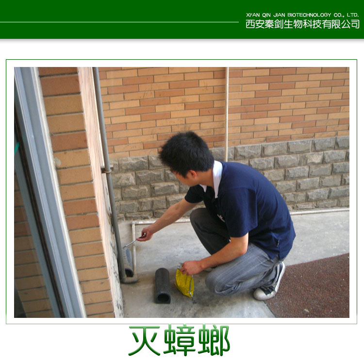 家庭滅蟑螂圖片/家庭滅蟑螂樣板圖 (2)