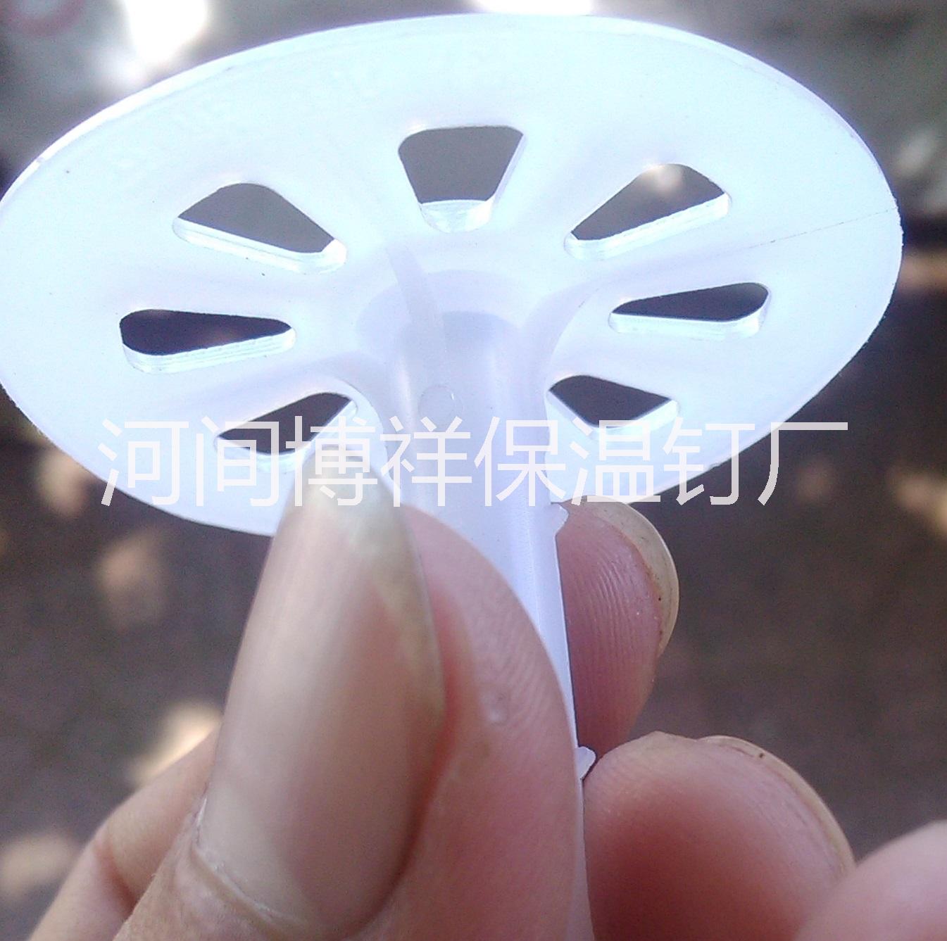 保溫釘圖片/保溫釘樣板圖 (1)