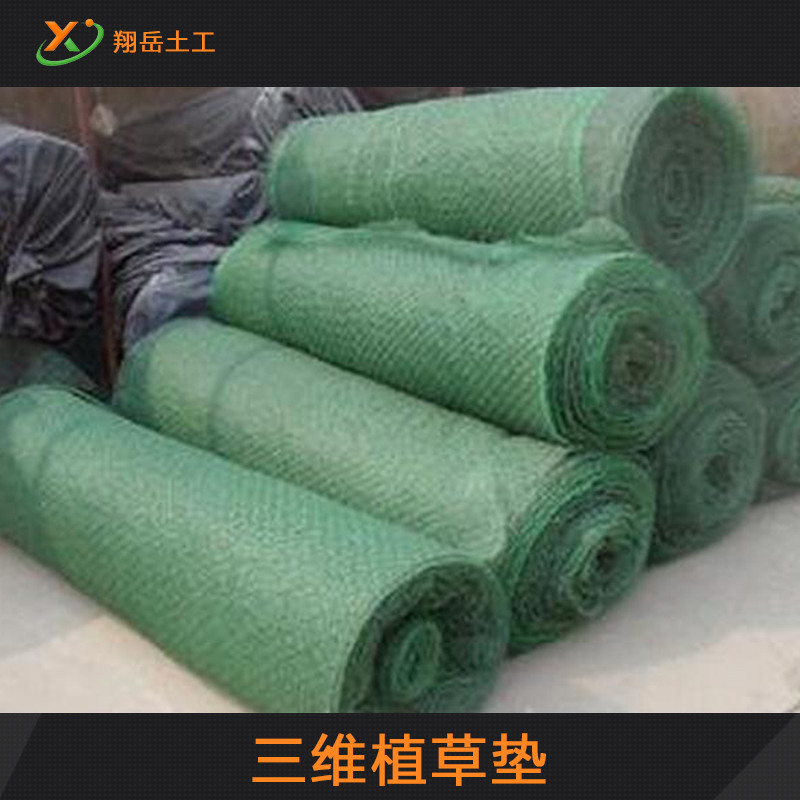 草墊圖片/草墊樣板圖 (2)