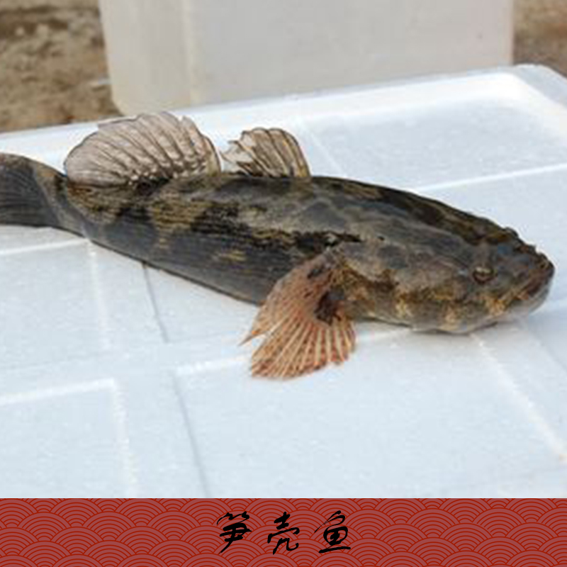 湖南湖北圖片/湖南湖北樣板圖 (2)