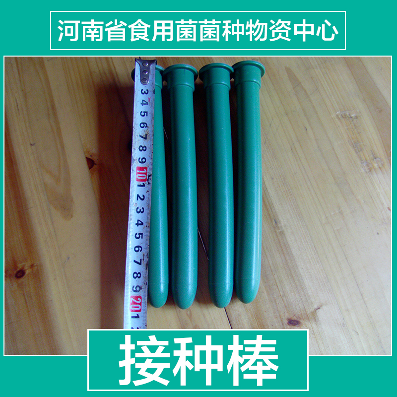 30公分接種棒批發(fā)圖片/30公分接種棒批發(fā)樣板圖 (2)