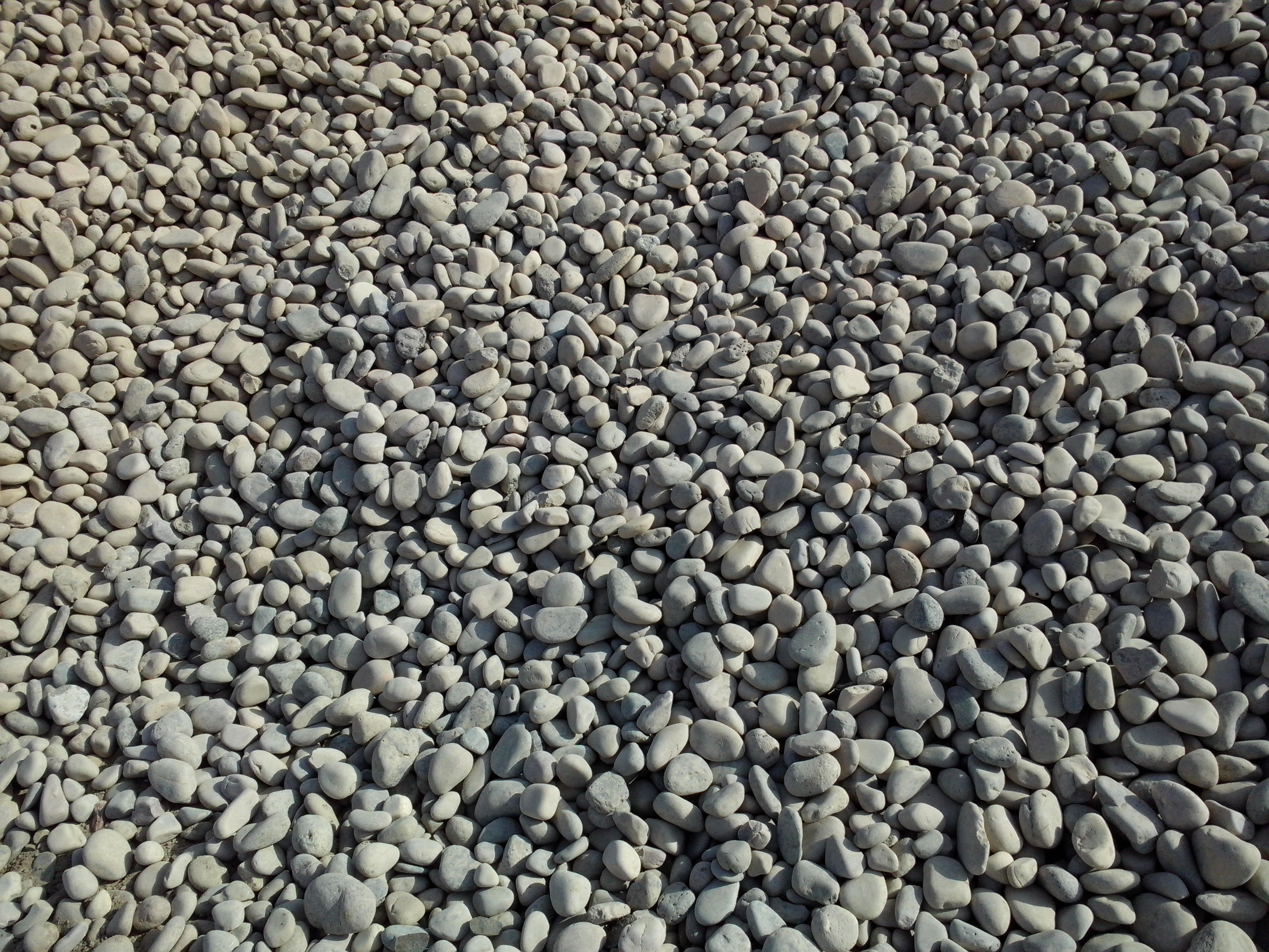 精致天然【鵝卵石】園林綠化專用e圖片