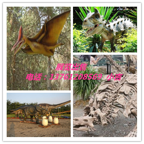 供應(yīng)仿真動(dòng)物恐龍租賃、展覽、出售