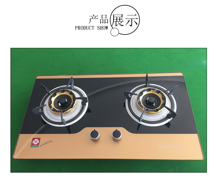 山東節(jié)能燃?xì)庠顖D片