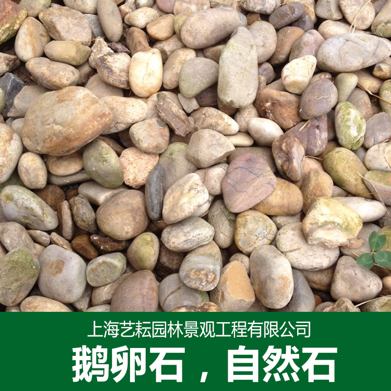 蘇州鵝卵石廠(chǎng)家圖片/蘇州鵝卵石廠(chǎng)家樣板圖 (3)