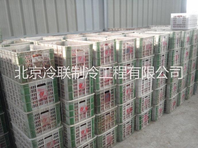 草莓速凍圖片/草莓速凍樣板圖 (1)