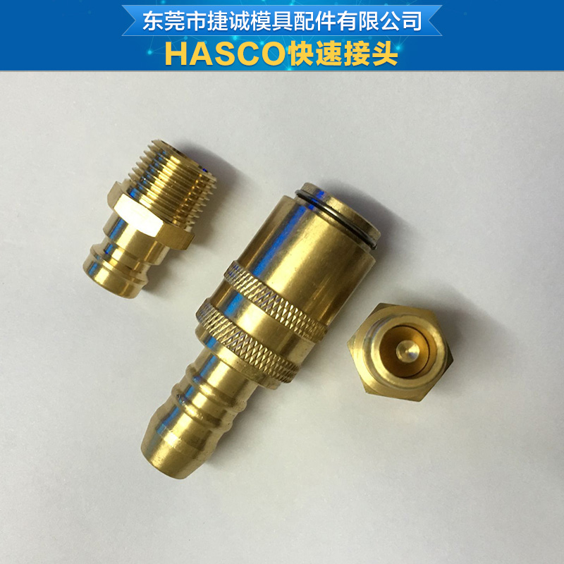 HASCO快速接头模具图片