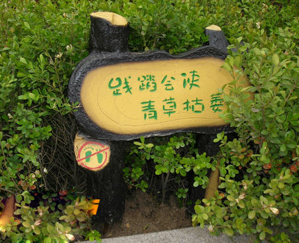 草地牌圖樣圖片/草地牌圖樣樣板圖 (4)