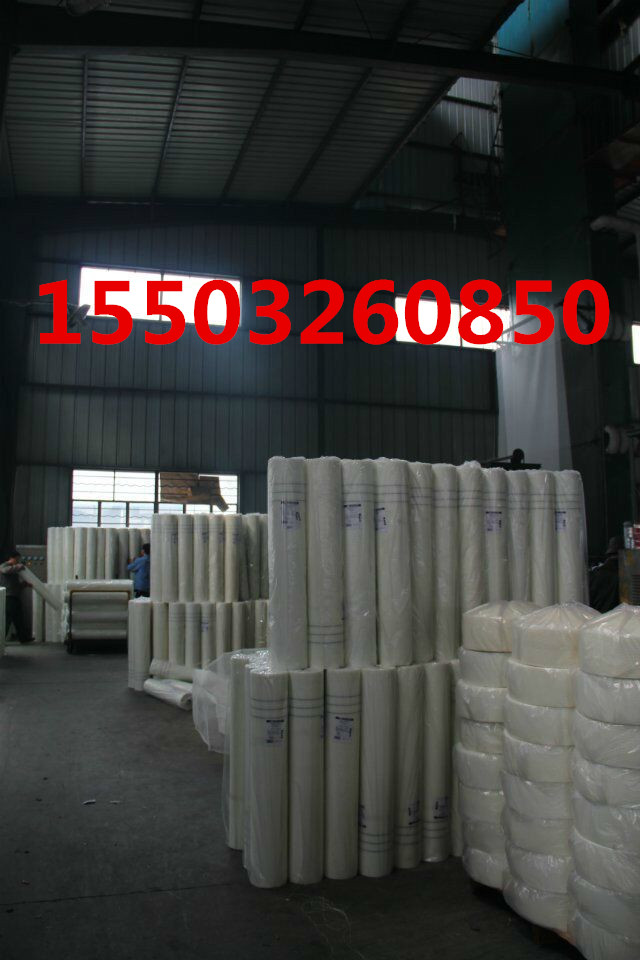 網(wǎng)格布的生產(chǎn)廠家圖片/網(wǎng)格布的生產(chǎn)廠家樣板圖 (2)