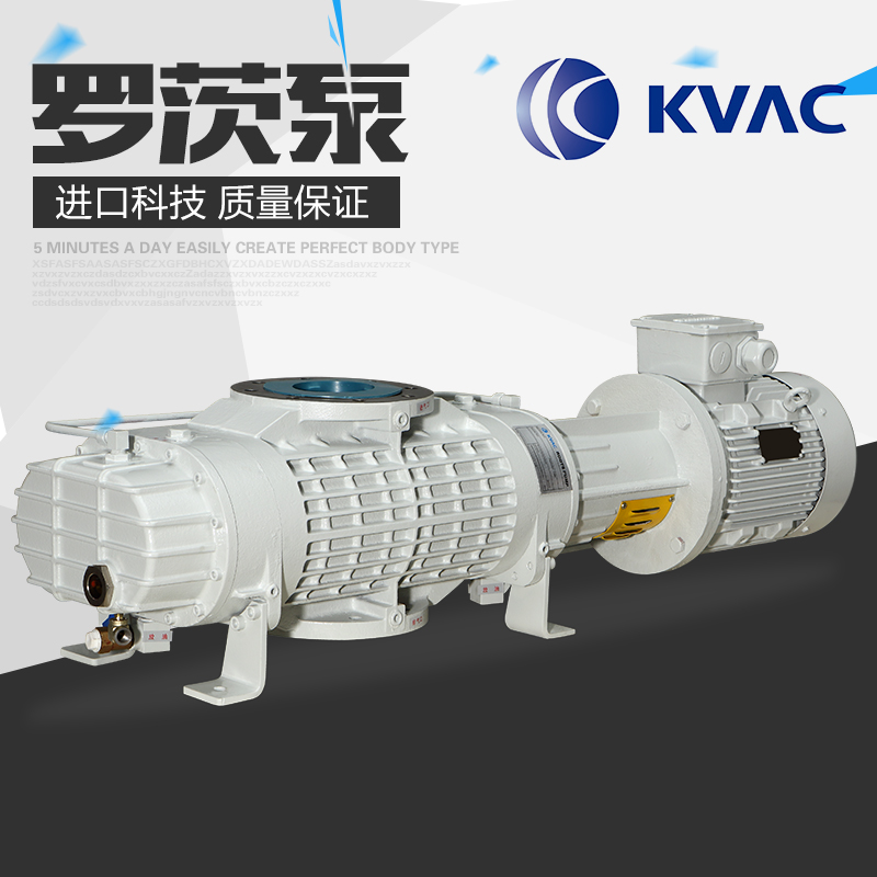 羅茨泵圖片/羅茨泵樣板圖 (2)