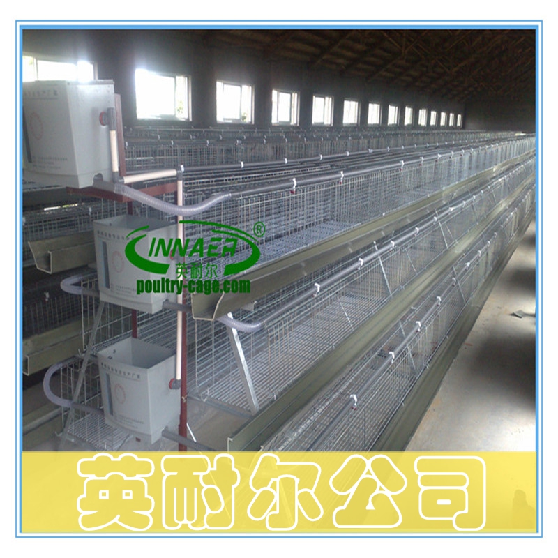 不生銹的肉雞籠|各種肉雞籠|英耐爾雞籠
