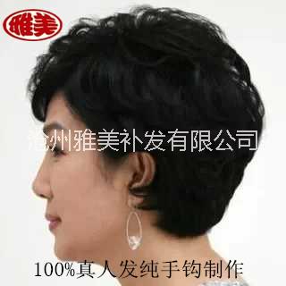 南皮圖片/南皮樣板圖 (4)