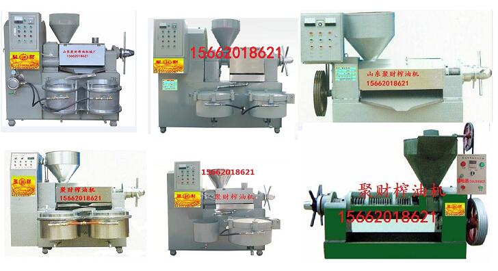 临沂市甘肃华亭全自动榨油机生产商厂家供应甘肃华亭全自动榨油机生产商，新式榨油机多钱一台