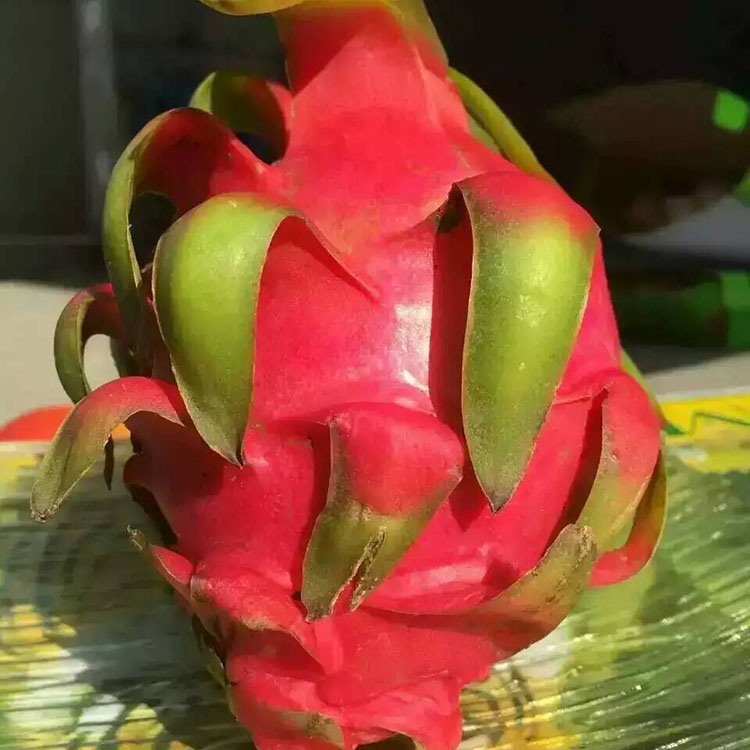 供應(yīng)用于食用的應(yīng)季水果，鮮果，進(jìn)口水果惠州同城配送