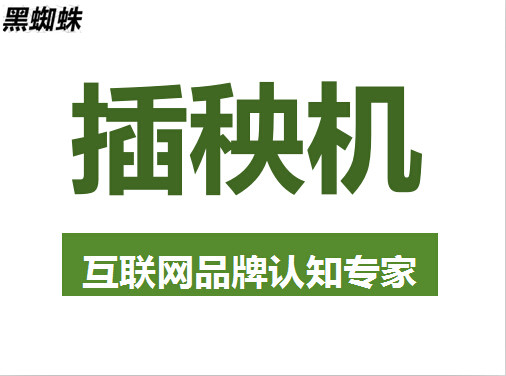 中小企业网络营销推广 黑蜘蛛互联网专家怎么说