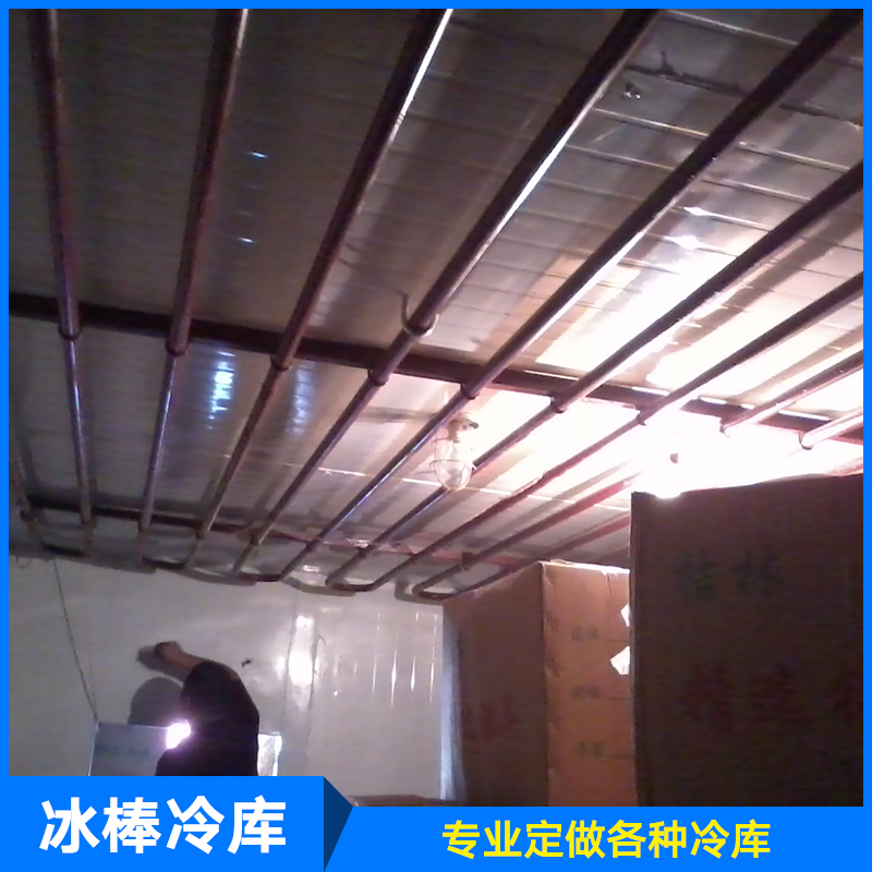 供應(yīng)廠家直銷生產(chǎn)定制制冷設(shè)備服務(wù)冰棒冷庫