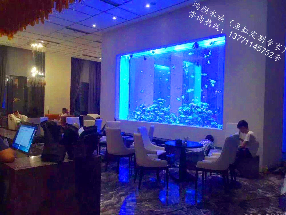定做大型魚缸圖片/定做大型魚缸樣板圖 (2)