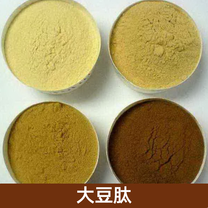 大豆肽粉圖片/大豆肽粉樣板圖 (2)