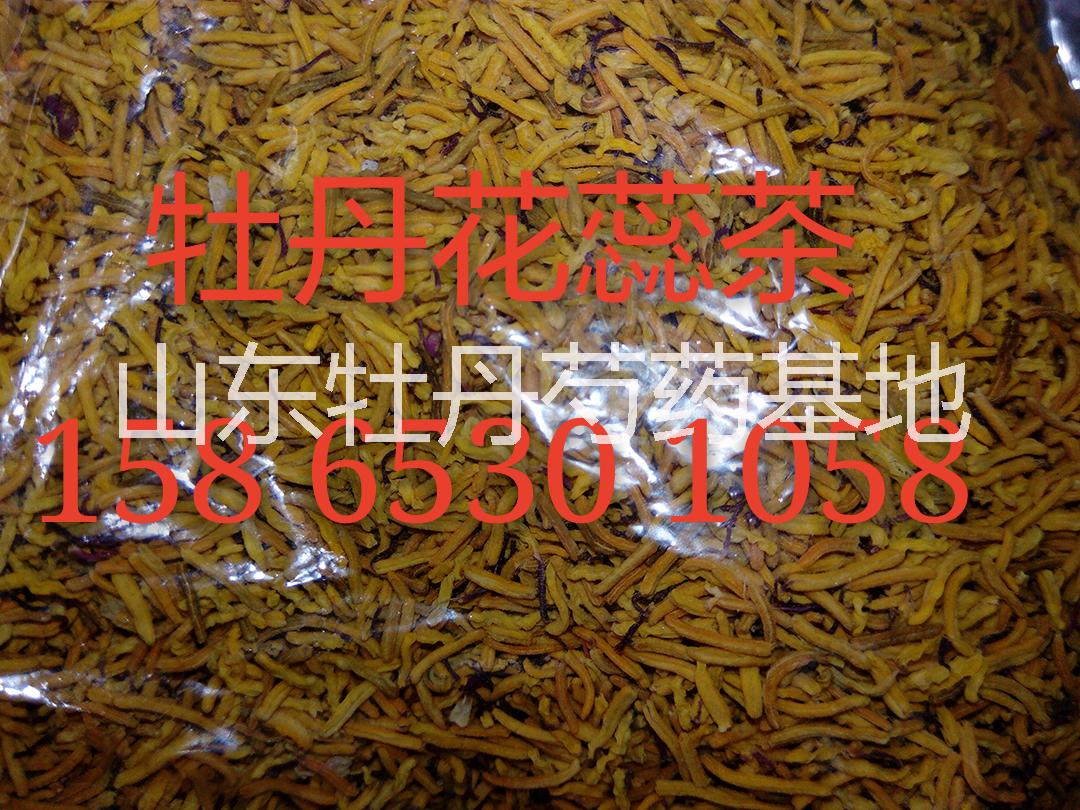 牡丹花圖片/牡丹花樣板圖 (1)