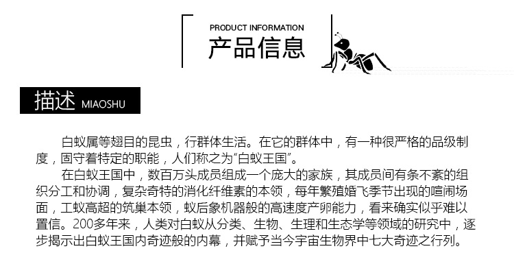 白蟻防治公司圖片/白蟻防治公司樣板圖 (4)