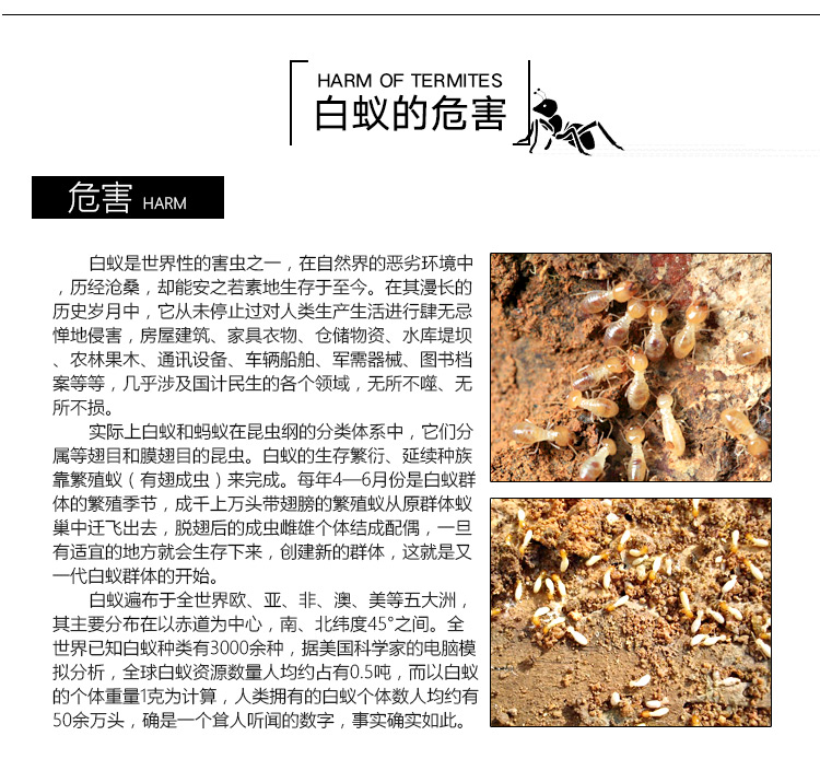 南海區(qū)哪里有白蟻防治公司，南海區(qū)白蟻防治電話，白蟻防治