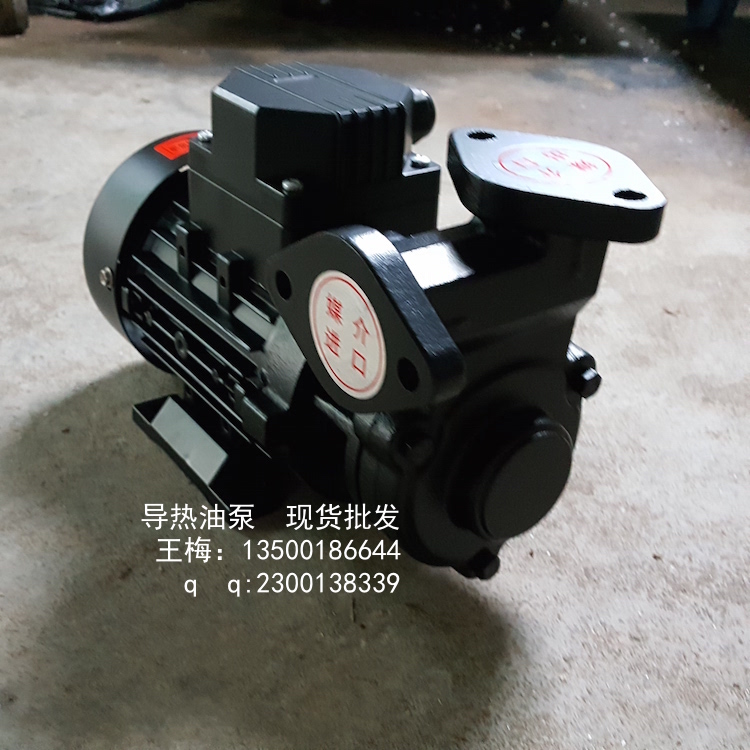 熱油泵圖片/熱油泵樣板圖 (2)