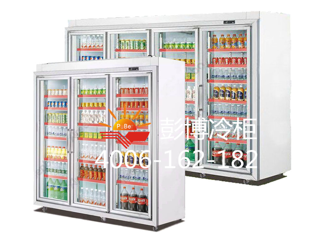雙門展示柜圖片/雙門展示柜樣板圖 (4)