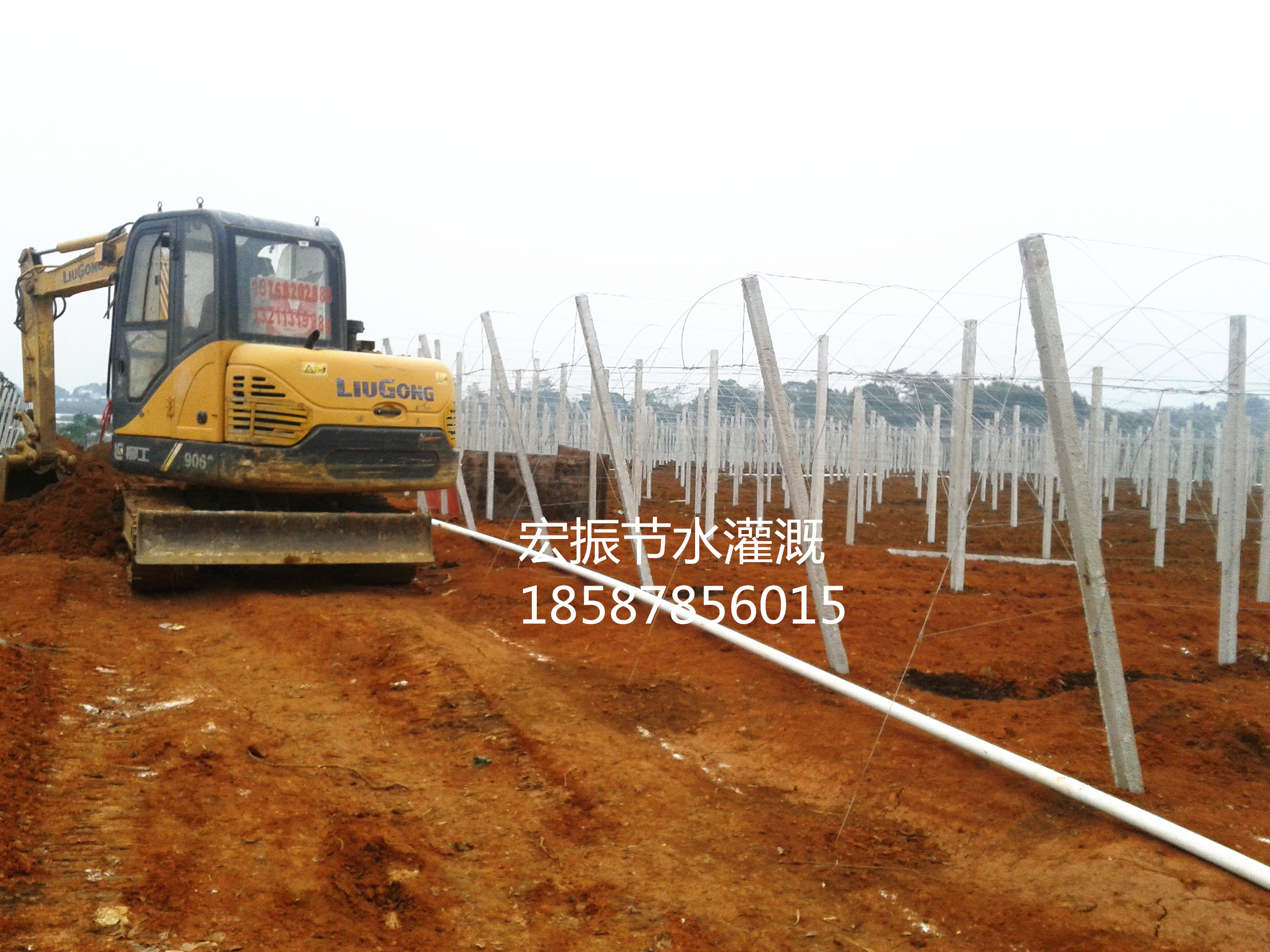 柳州柳江柳城鹿寨滴灌噴灌灌溉圖片