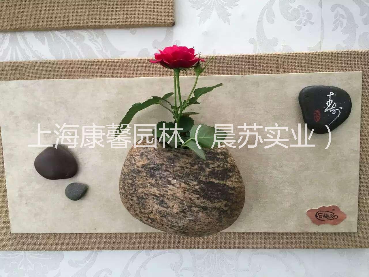 辦公室植物租賃圖片/辦公室植物租賃樣板圖 (3)