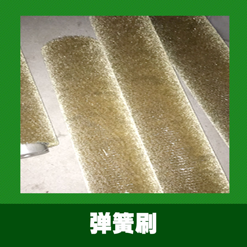 彈簧清潔刷圖片/彈簧清潔刷樣板圖 (3)