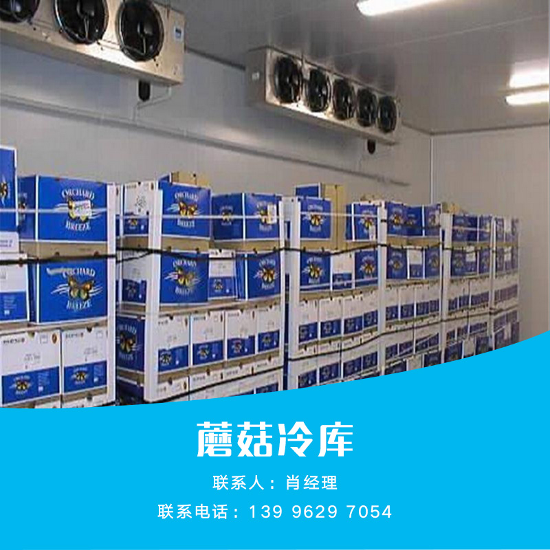 蘑菇冷庫圖片/蘑菇冷庫樣板圖 (2)