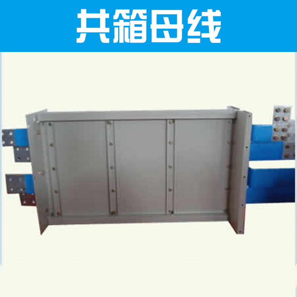 共箱母線圖片/共箱母線樣板圖 (3)