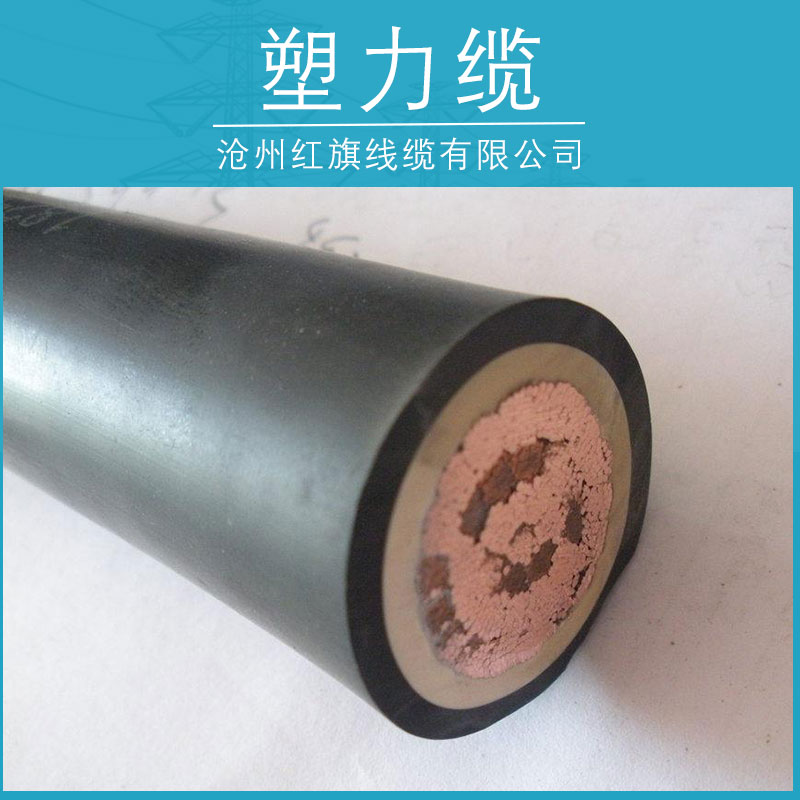 塑力纜產(chǎn)品圖片/塑力纜產(chǎn)品樣板圖 (2)