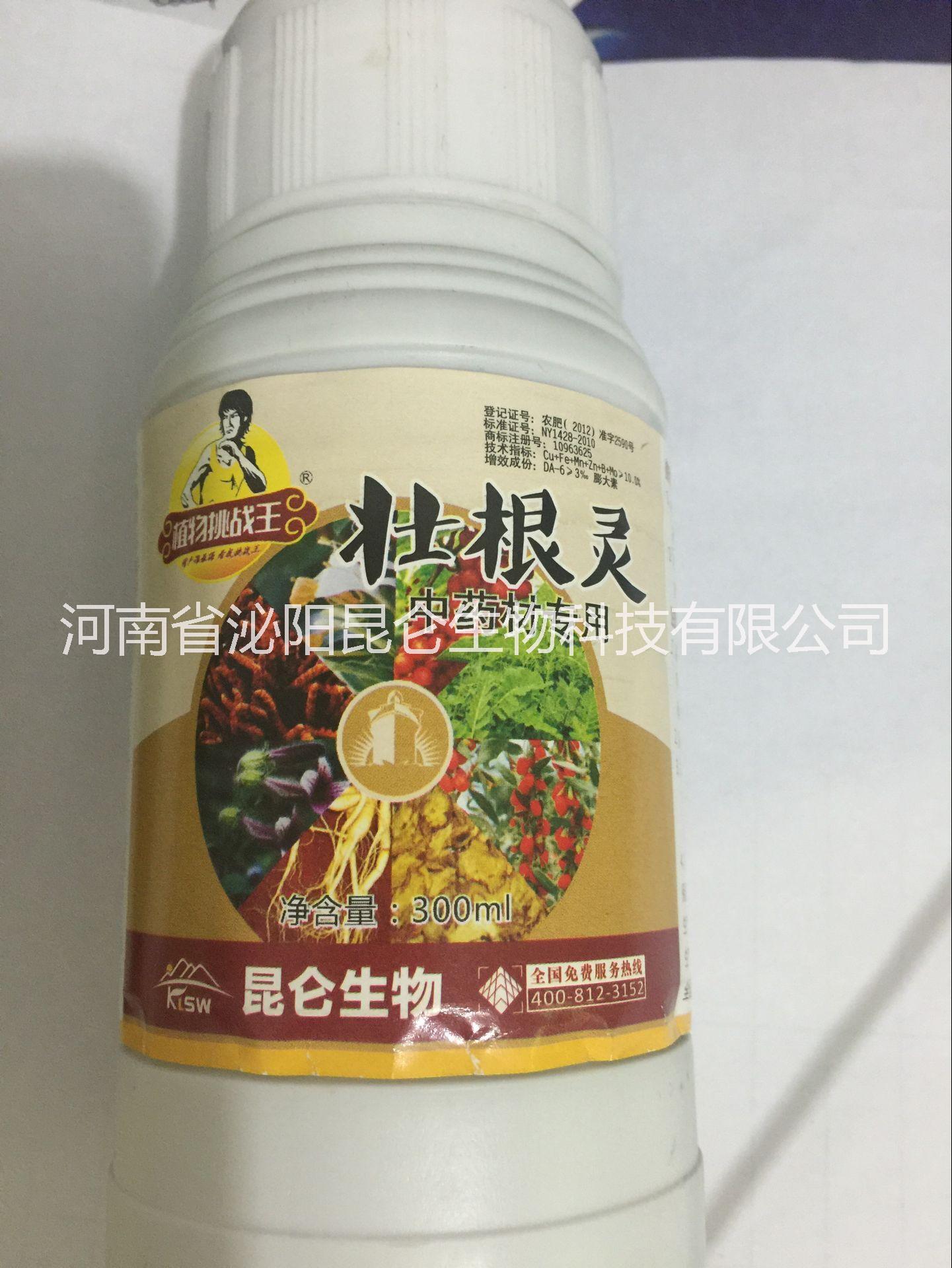 中藥材圖片/中藥材樣板圖 (1)