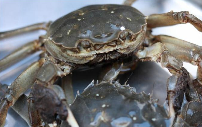 北部灣圖片/北部灣樣板圖 (2)