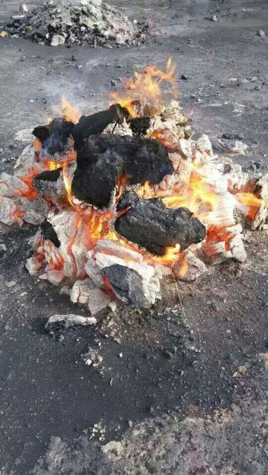 陜西榆林末煤塊煤混煤氣化煤圖片