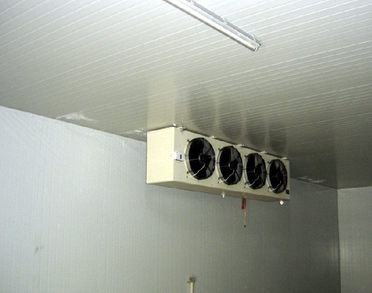 食品冷庫圖片/食品冷庫樣板圖 (3)