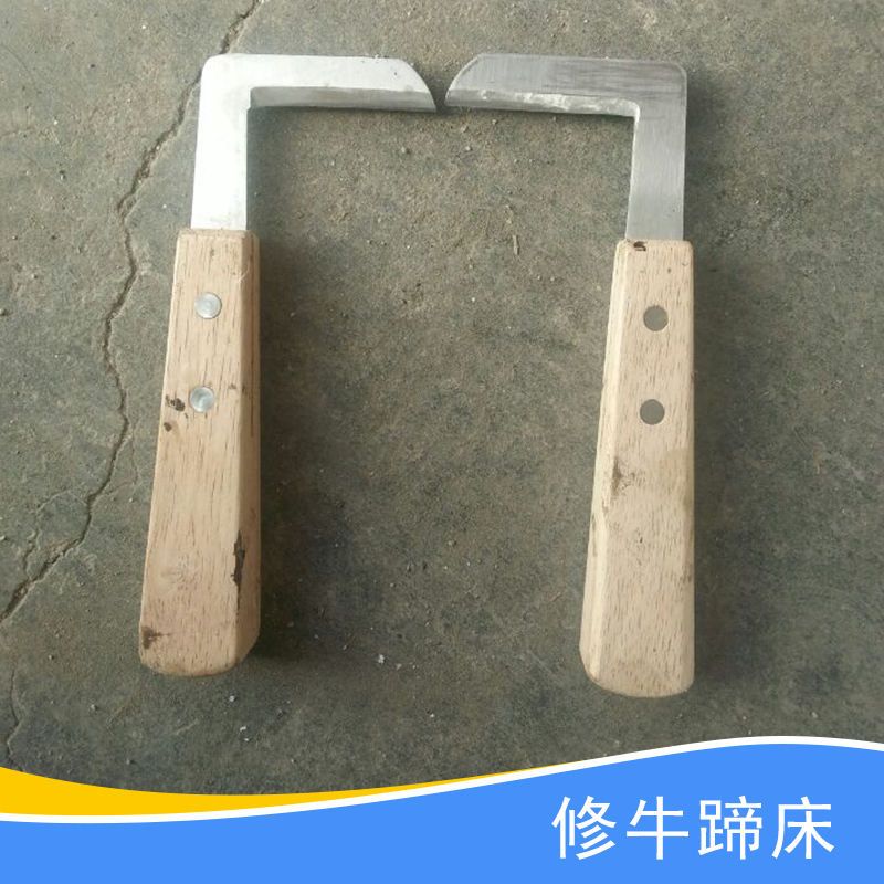 牛蹄圖片/牛蹄樣板圖 (3)