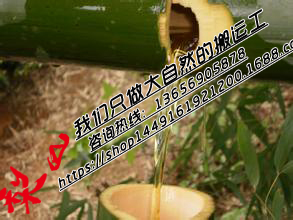 甘肅活竹筒酒圖片/甘肅活竹筒酒樣板圖 (3)