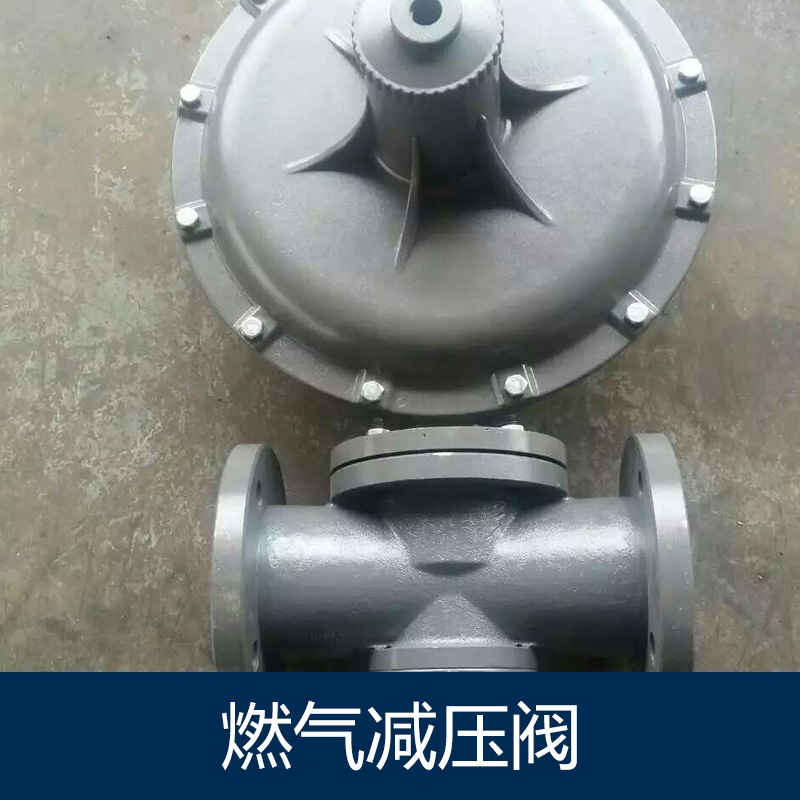 燃?xì)鉁p壓閥圖片/燃?xì)鉁p壓閥樣板圖 (2)