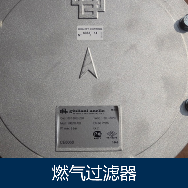 燃?xì)膺^濾器圖片/燃?xì)膺^濾器樣板圖 (4)