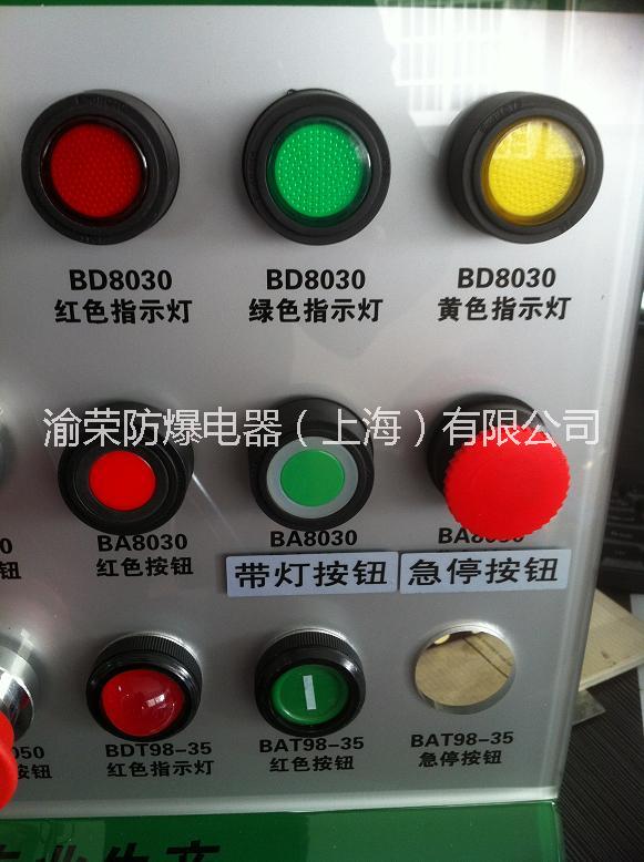 上海渝榮防爆配電箱專用按鈕圖片/上海渝榮防爆配電箱專用按鈕樣板圖 (4)