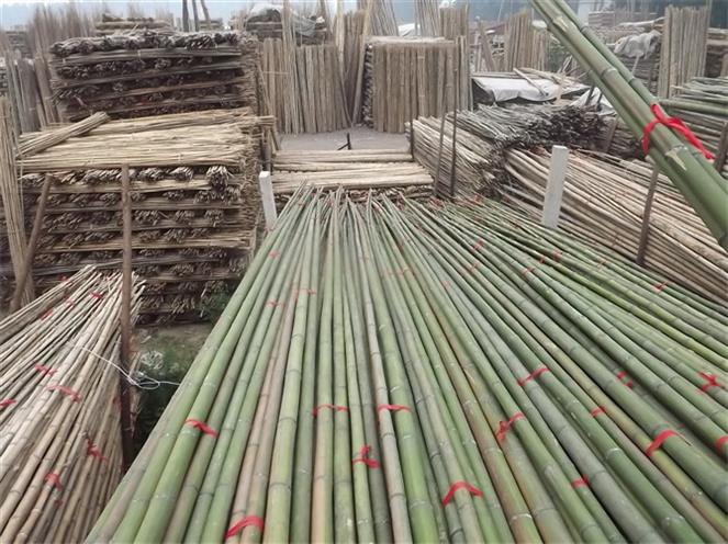植樹(shù)竹竿批發(fā)北京竹竿竹片批發(fā)市場(chǎng)銷售菜架竹葡萄架竹竹竿竹片竹籬笆枸杞竿