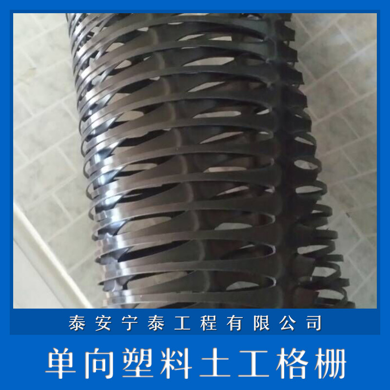 單向土工格柵圖片/單向土工格柵樣板圖 (2)